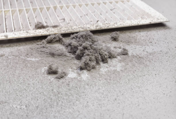 Best Ventilation Cleaning Services  in Shady Spring, WV